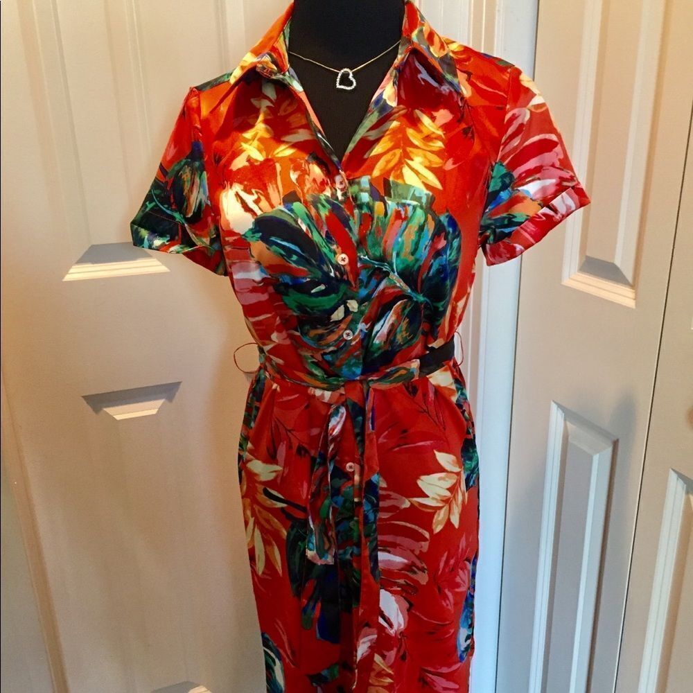 Beautiful colorful dress by Signature Collection